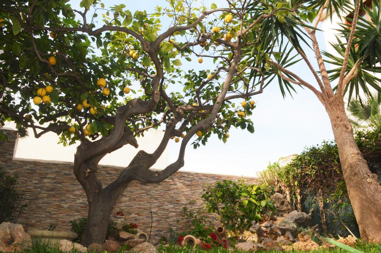 Kimos Acomodação com café da manhã San Vito Lo Capo Exterior foto