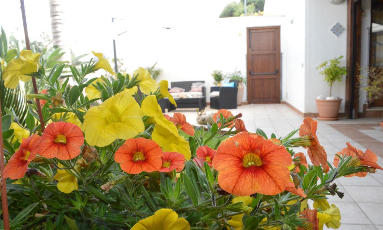 Kimos Acomodação com café da manhã San Vito Lo Capo Exterior foto
